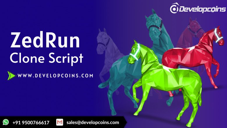 Explore The Work Flow Of Zed Run Clone Script