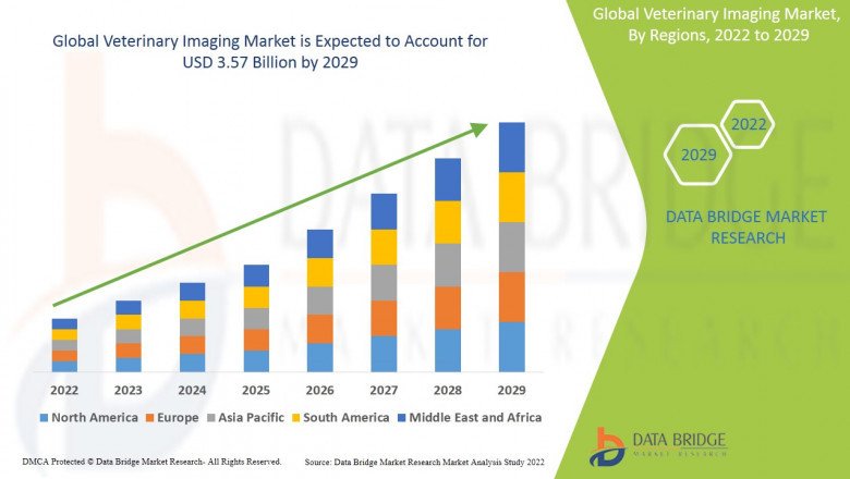 Veterinary Imaging Market Size, Industry Scope, & Forecast Analysis By 2029