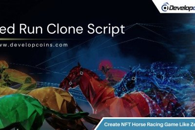 What Are The Inbuilt Modules Of The Zed Run Clone?