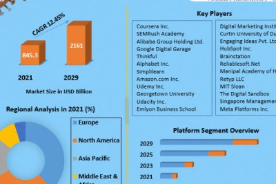 Global Digital Marketing Courses Market Size, Share Leaders,  Top Manufacturers And Forecast 2029