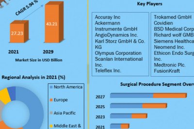 Lung Cancer Surgery Market by APIs Type,Industry Vertical,Types, Applications and Region 2029
