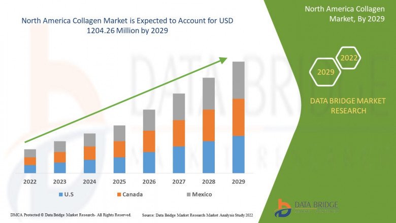 North America Collagen Market Size, Industry Scope, & Forecast Analysis By 2029