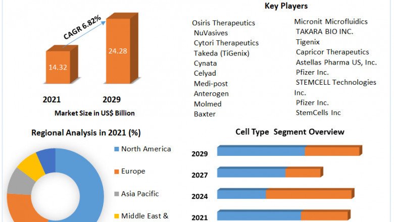 Stem Cell Manufacturing Market Size, Forecast Business Strategies, Emerging Technologies and Future Growth Study