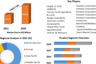 Lecithin market Share, Product, Size, To Create Business Opportunities 2029