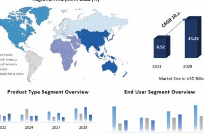 Electric Wheelchair Market Share, Industry Statistics, Sales, Size, Growth Probability And Forecast To 2029