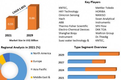 Silica Analyzer Market Applications, Vendors and Portfolios To Observe Exponential Growth By 2029