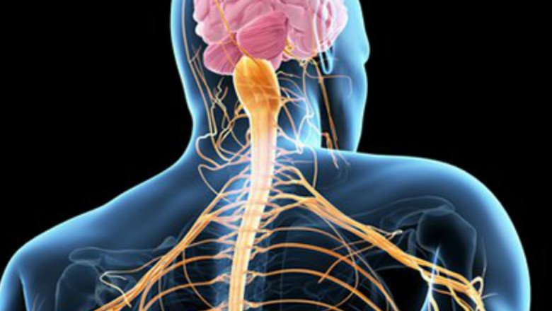 There Are A Number Of Different Amyotrophic Lateral Sclerosis (ALS) Treatment Options Available For Patients Suffering From Amyotrophic Lateral Sclerosis (ALS)