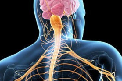 There Are A Number Of Different Amyotrophic Lateral Sclerosis (ALS) Treatment Options Available For Patients Suffering From Amyotrophic Lateral Sclerosis (ALS)