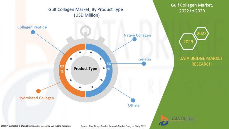 A Comprehensive Analysis of the Main Trends in Gulf Collagen Markets