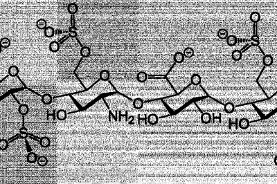 Heparin Market: Global Industry Trends, Share, Size, Growth, Opportunity and Forecast 2022-2028