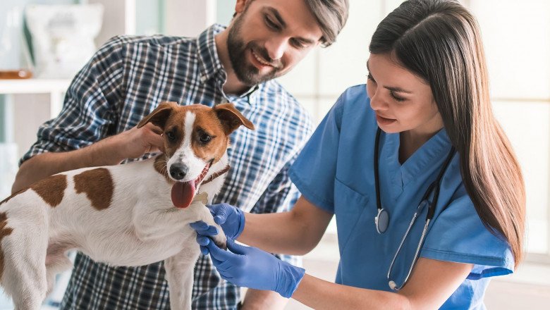 Veterinary Equipment and Disposables used in veterinary operations and for monitoring and curing disorders in animals.