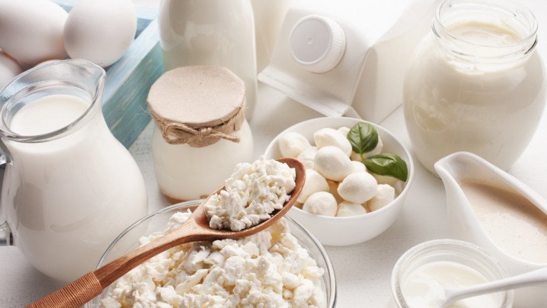 Dairy Ingredients Market Global Outlook, Research, Trends And Forecast To 2028