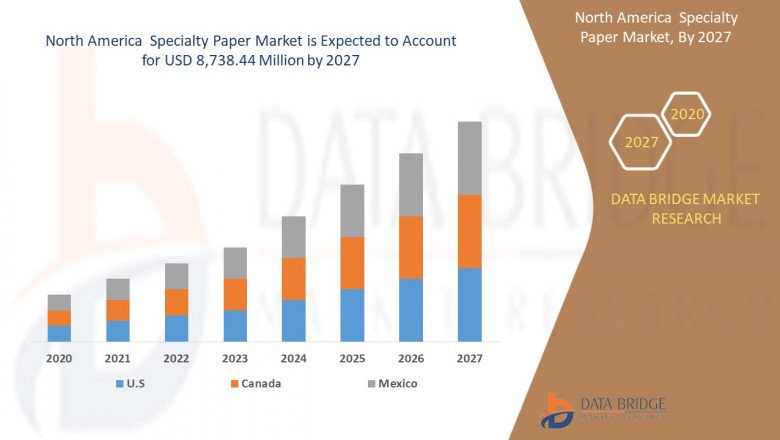 Staying Ahead of the Curve in the North America Specialty Paper Market