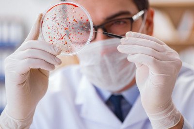 The Infectious Disease Diagnostics Has Become One Of The Critical Components Of The Fight Against Health Threats Since It Can Help In Treating The Disease Efficiently