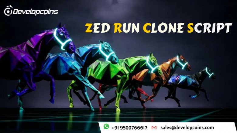 How To Use Zed Run Clone - Step By Step Guide?