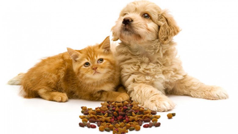 Know About the Sampling Feeds used For Analysis of Animal Nutrition