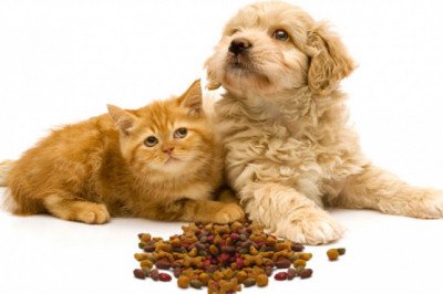 Know About the Sampling Feeds used For Analysis of Animal Nutrition