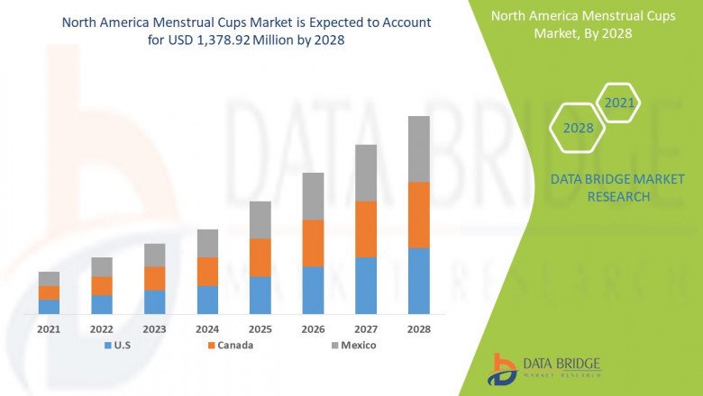 Market Future Scope and Growth Factors of North America Menstrual Cups Market up to 2028