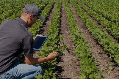 A Seed Treatment Is An Important Part Of Agriculture That Improves Seed Performance And Protects Seeds From Environmental Stressors