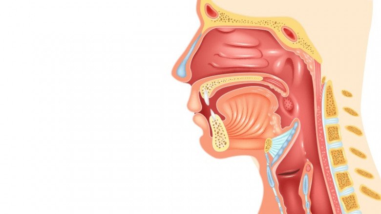 Head and Neck Cancer Market : Global Industry Trends, Share, Size, Growth, Opportunity and Forecast 2022-2028
