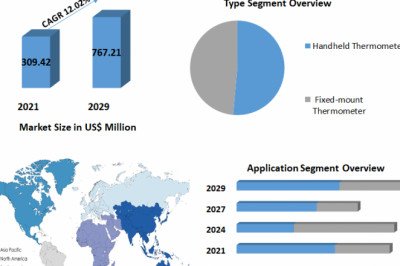 Infrared Thermometer Market Size, Regions, Type And Application, By Connector And Forecast 2029