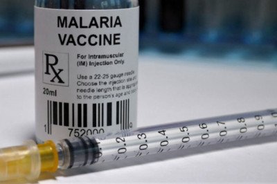 Malaria Vaccines Prevent The Spread Of Malaria, An Infectious Disease Transmitted By Mosquitoes