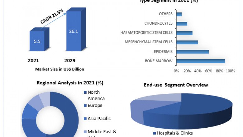 Autologous Cell Therapy Market Size, Top Impacting Factors, Growth Opportunity Assessment And Forecast 2029