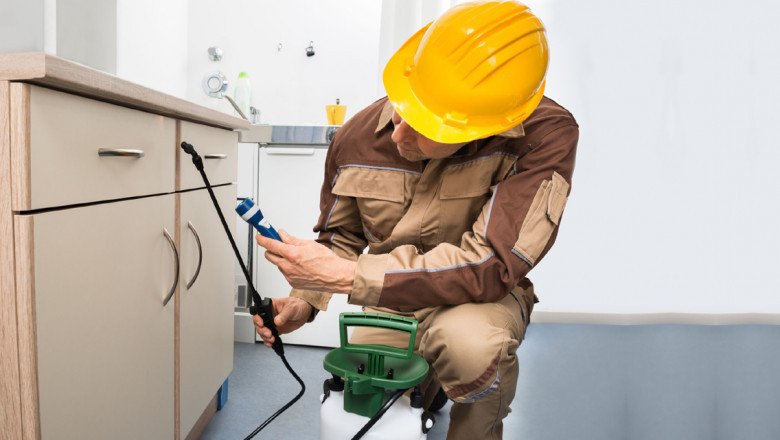 Pest Control Products And Services Market Outlook and Insights during the Forecast Period 2019-2027