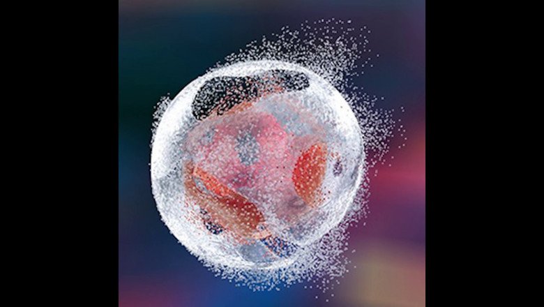 Using Cell Lysis, Protein Can Be Extracted For Various Applications, Such As Enzyme Engineering Or Protein Labeling
