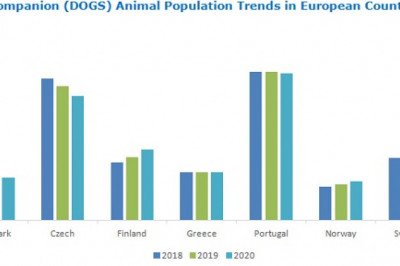 Providing Quality Veterinary Care: Exploring Veterinary Care Market for Asia &amp; Latin America Worth $23 and $9 billion Respectively, by 2025