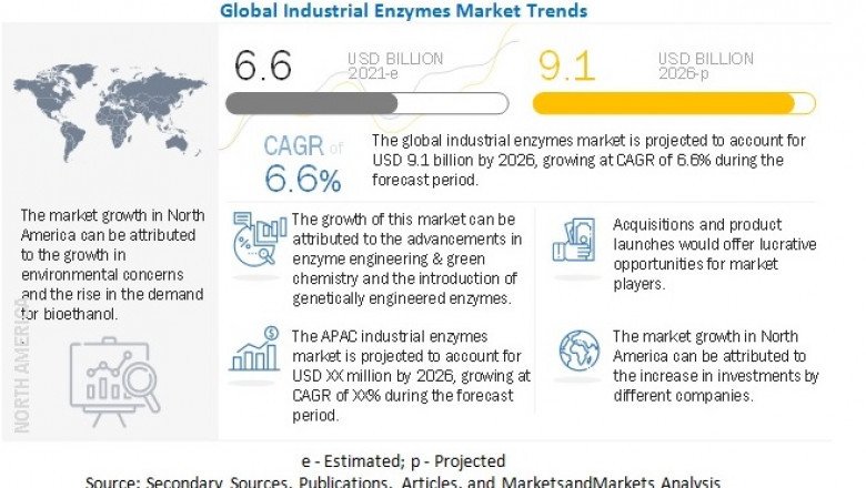 Industrial Enzymes Market: Trends, Growth, and Forecast