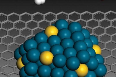 As A Unit, Nanoparticles Transport And Behave As A Whole