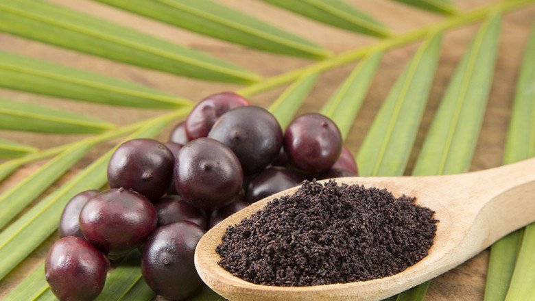 Acai Berry Market (2022-2028), Business Plan Strategy, New Solutions, Key Segments, Potential Targets and Recommendations