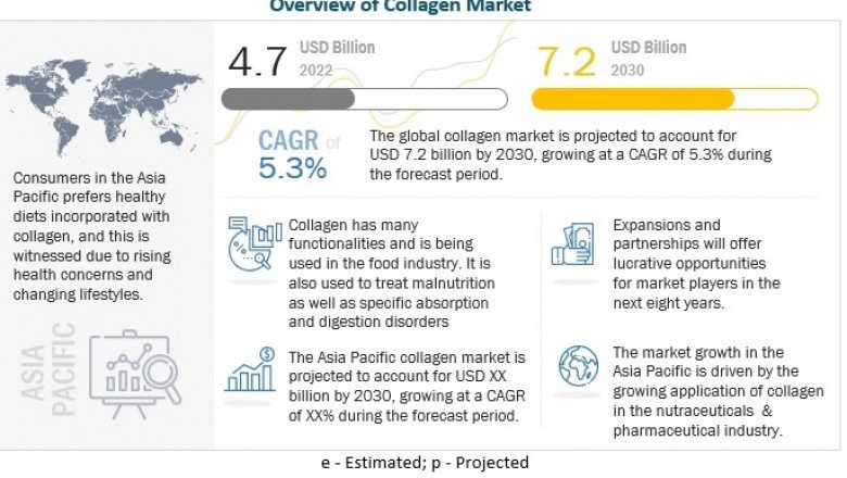 Collagen Market: Industry Trends, Analysis, and Forecast