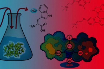 Chemical Study Of Compounds, Which Include Neither Carbon Nor Hydrogen Atoms, Is Known As Inorganic Chemicals