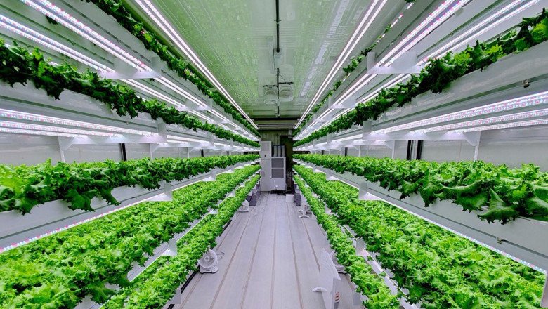 Global Vertical Farming Market : Share, Size, Growth, Opportunity, and Forecast 2022-2028