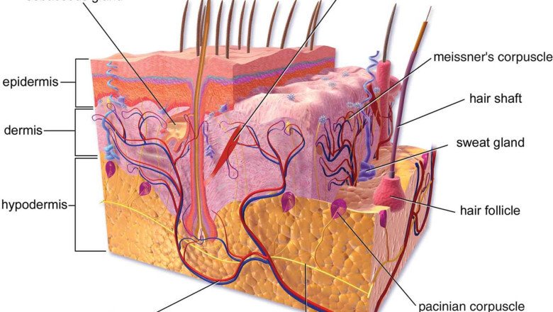 Global Subcutaneous Biologics Market : Share, Size, Growth, Opportunity, and Forecast 2022-2028