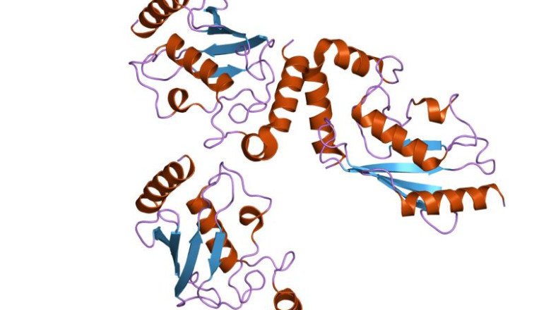 Ubiquitin Enzymes that facilitate transcriptional instruction, protein transfer, and endocytosis and lysosomal levelling in signaling processes