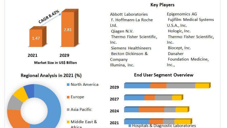Incidence of Liver Cancer and Availability of Advanced Diagnostic Technologies Driving Market Growth Forecast Forecast 2022-2029