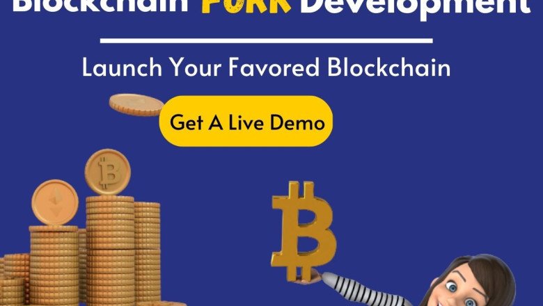 Authoritative Guidance To Blockchain Fork Development