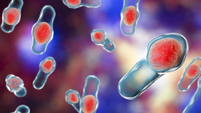 Global Clostridium Difficile Diagnostics Market : Share, Size, Growth, Opportunity, and Forecast 2022-2028