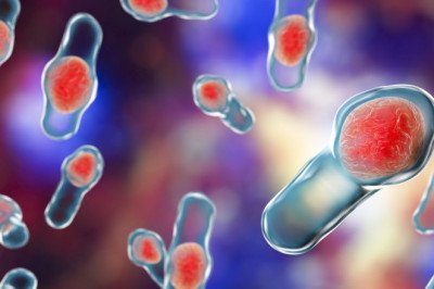 Global Clostridium Difficile Diagnostics Market : Share, Size, Growth, Opportunity, and Forecast 2022-2028