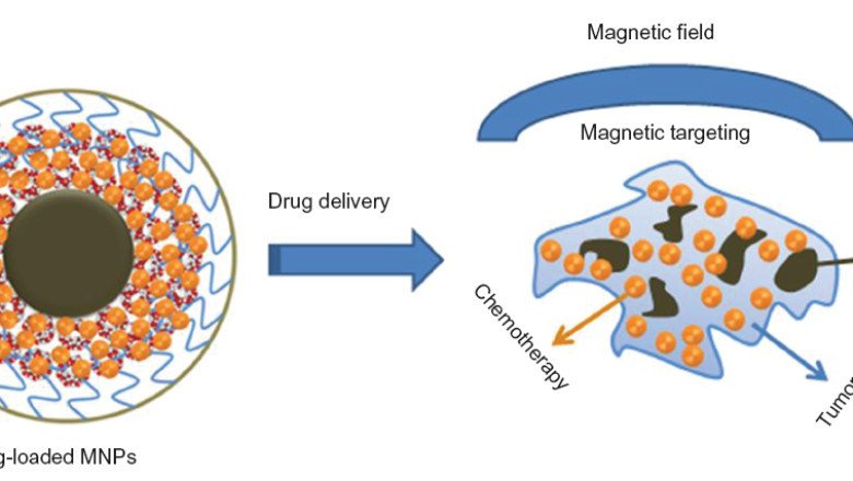 In addition to chronic diseases, the rising prevalence of infectious diseases will boost the growth of the Magnetic Driven Drug Delivery Technology Market