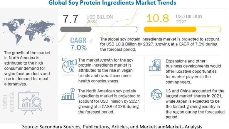 Soy Protein Ingredients Market: An Overview of Growth and Trends