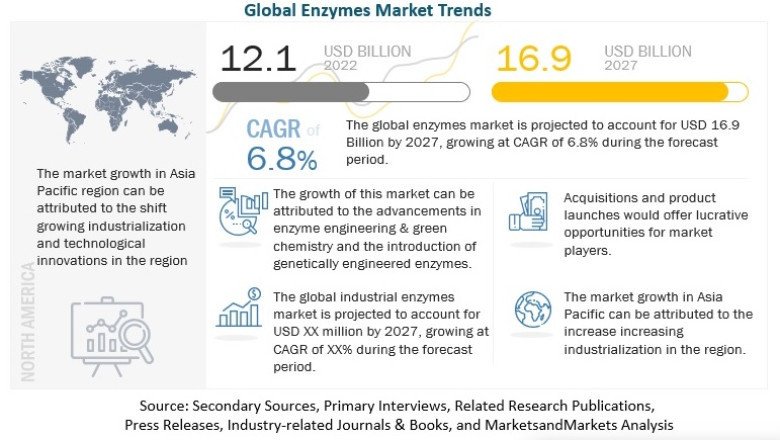 Enzymes Market: Understanding the Growing Demand for Industrial Enzymes