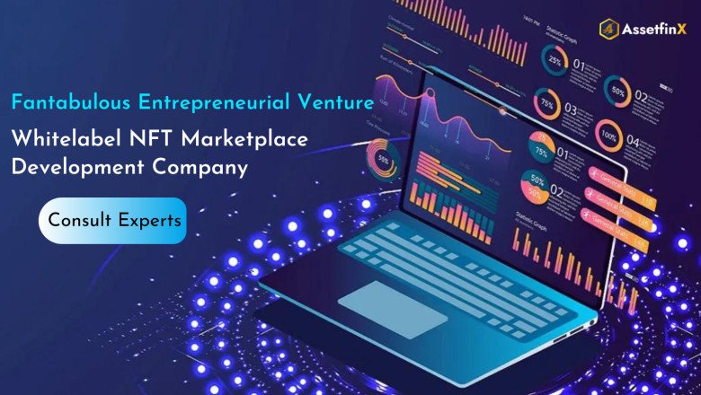 Investing in White Label NFT Marketplaces: The Path to a Brighter Future for Entrepreneurs
