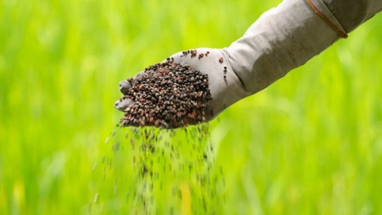 Global Chelated–Iron Agricultural Micronutrient Market : Share, Size, Growth, Opportunity, and Forecast 2019-2027