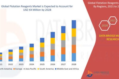 Flotation Reagents Market Demand, Insights and Forecast Up to 2028