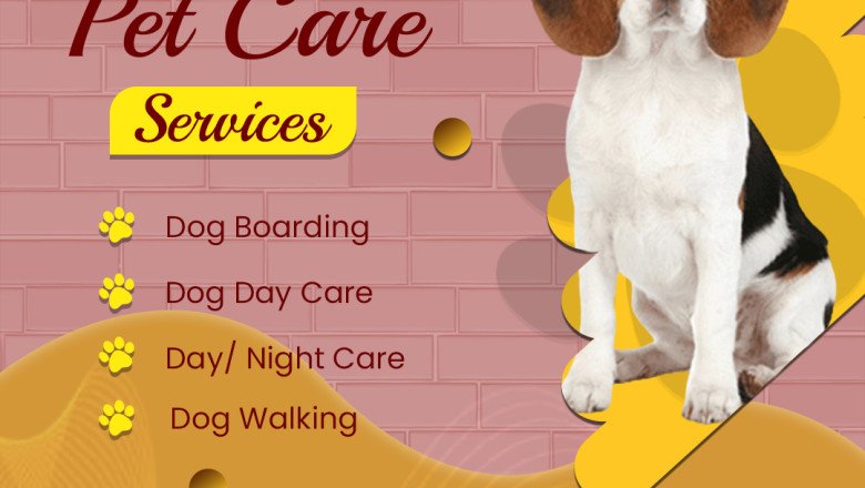 How To Get Rid Of Ticks And Fleas On Dogs