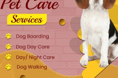 How To Get Rid Of Ticks And Fleas On Dogs